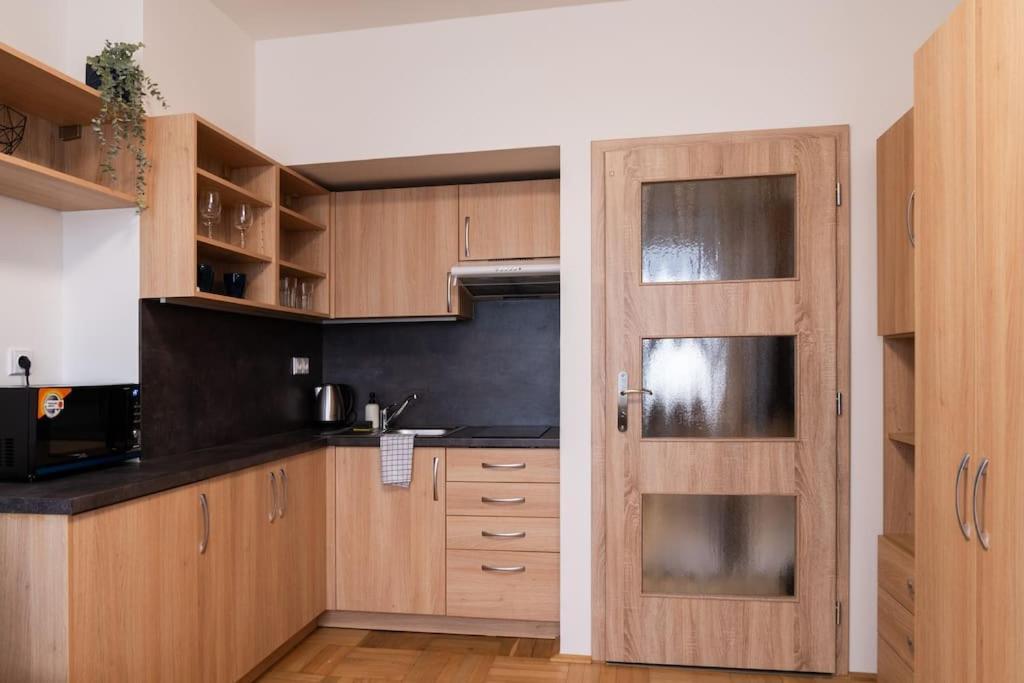 Studio Apartment In Brno-Center Εξωτερικό φωτογραφία