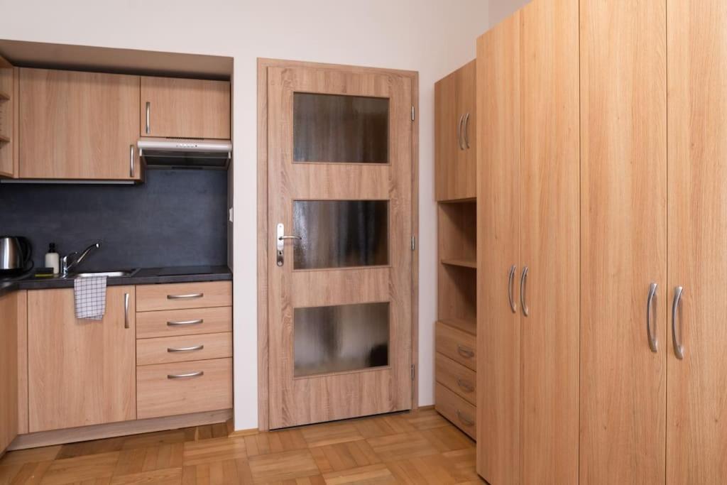 Studio Apartment In Brno-Center Εξωτερικό φωτογραφία